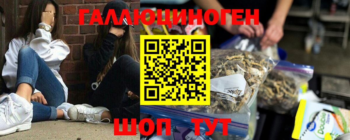 Галлюциногенные грибы GOLDEN TEACHER  Вход с VPN  купить наркоту  Краснокаменск 